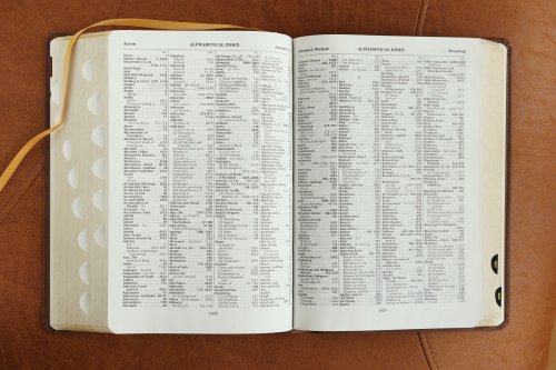 NKJV, Thompson Chain-Reference Bible, Leathersoft, Brown, Red Letter, Thumb Indexed