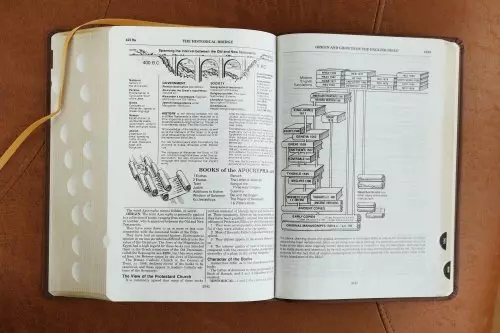 NKJV, Thompson Chain-Reference Bible, Leathersoft, Brown, Red Letter, Thumb Indexed