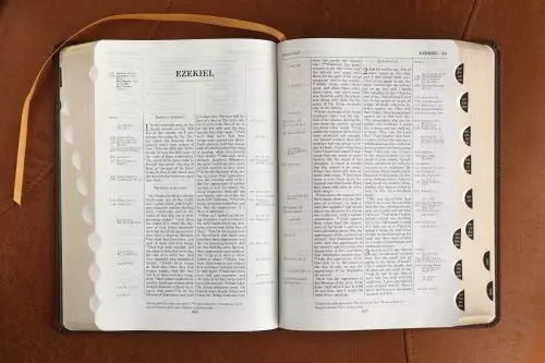 ESV, Thompson Chain-Reference Bible, Leathersoft, Brown, Red Letter, Thumb Indexed