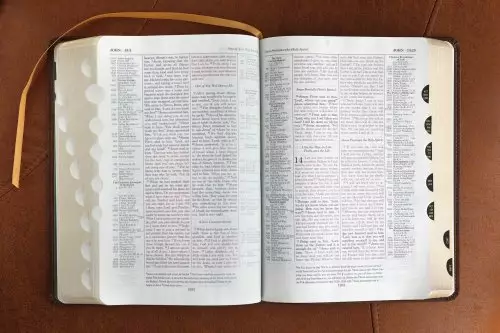 ESV, Thompson Chain-Reference Bible, Leathersoft, Brown, Red Letter, Thumb Indexed