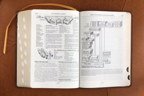 ESV, Thompson Chain-Reference Bible, Leathersoft, Brown, Red Letter, Thumb Indexed