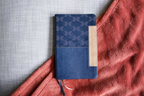 NIV, Thinline Bible, Leathersoft, Blue, Red Letter, Comfort Print