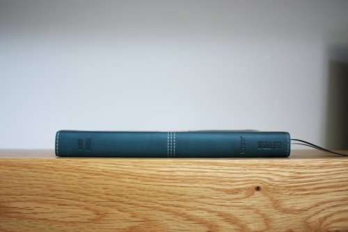 NIV, Thinline Bible, Leathersoft, Teal, Red Letter, Comfort Print