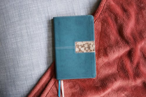 NIV, Thinline Bible, Leathersoft, Teal, Red Letter, Comfort Print