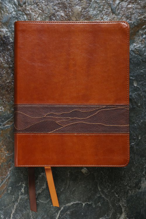 Rooted: The NIV Bible for Men, Leathersoft, Brown, Comfort Print