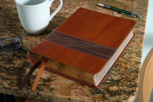 Rooted: The NIV Bible for Men, Leathersoft, Brown, Comfort Print