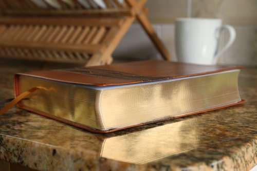 Rooted: The NIV Bible for Men, Leathersoft, Brown, Comfort Print