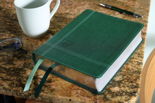 Rooted: The NIV Bible for Men, Leathersoft, Green, Comfort Print