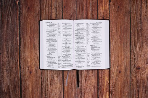 NIV Thinline Reference Bible, Large Print, European Bonded Leather, Black, Red Letter, Comfort Print