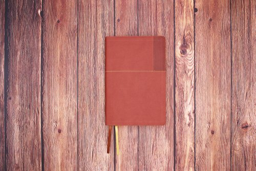 Niv, Thinline Reference Bible (Your Portable Reference Bible), Large Print, Leathersoft, Brown, Red Letter, Comfort Print