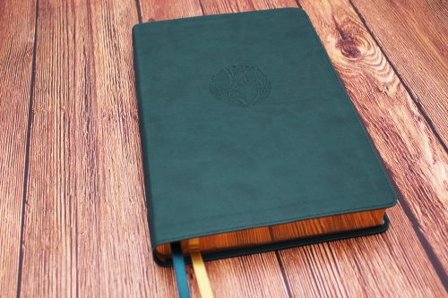 NIV Thinline Reference Bible, Large Print, Leathersoft, Teal, Red Letter, Comfort Print