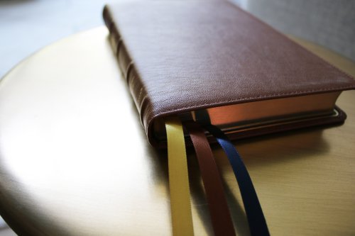 NIV, Thinline Bible, Premium Goatskin Leather, Brown, Premier Collection, Black Letter, Art Gilded Edges, Comfort Print