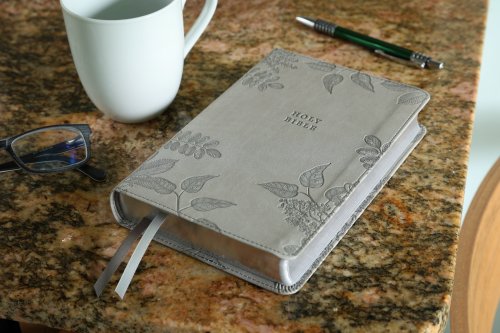 NIV, Compact Center-Column Reference Bible, Leathersoft, Stone, Red Letter, Comfort Print