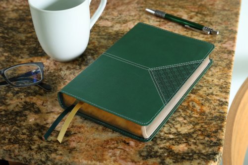 NIV, Compact Center-Column Reference Bible, Leathersoft, Green, Red Letter, Comfort Print