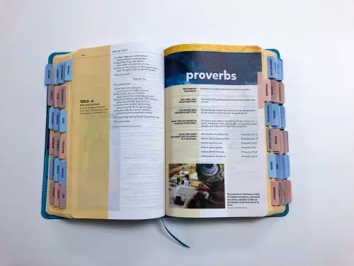 Niv, Kids' Visual Study Bible, Leathersoft, Bronze, Full Color Interior, Peel/Stick Bible Tabs: Explore the Story of the Bible---People, Places, and