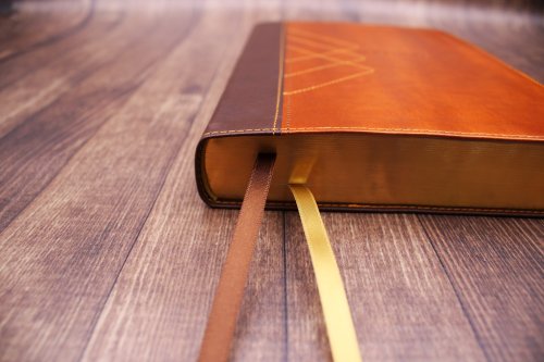 NIV Thinline Bible, Giant Print, Leathersoft, Brown, Red Letter, Comfort Print