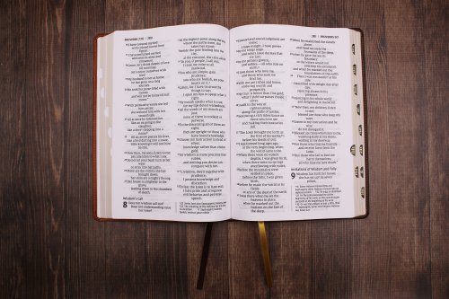 Niv, Thinline Bible, Giant Print, Leathersoft, Brown, Red Letter, Thumb Indexed, Comfort Print