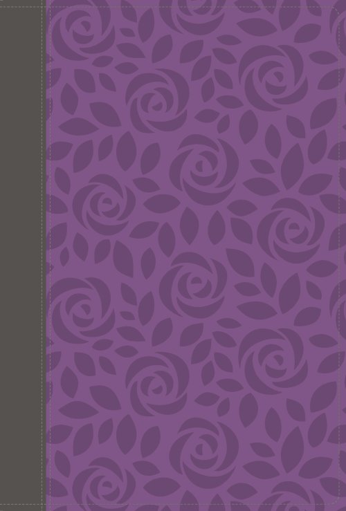 NIV Thinline Bible, Giant Print, Leathersoft, Gray/Purple, Red Letter, Thumb Indexed, Comfort Print