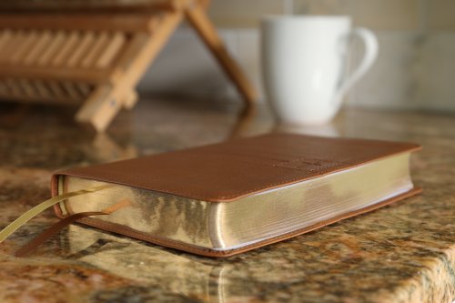 NIV, Thinline Bible, Compact, Leathersoft, Brown, Red Letter, Comfort Print