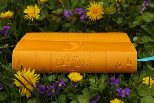 NIrV, The Illustrated Holy Bible for Kids, Leathersoft, Yellow, Full Color, Comfort Print