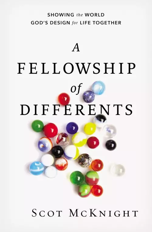 A Fellowship of Differents