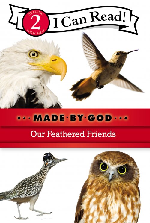 Our Feathered Friends