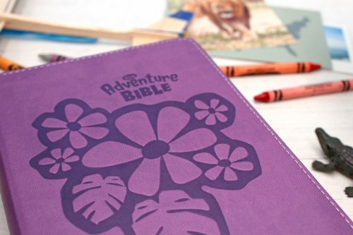 NIrV Adventure Bible for Early Readers, Purple, Imitation Leather, Full Color,  Articles, Illustrations, Hands-On Activities, Introductions, Dictionary, Maps