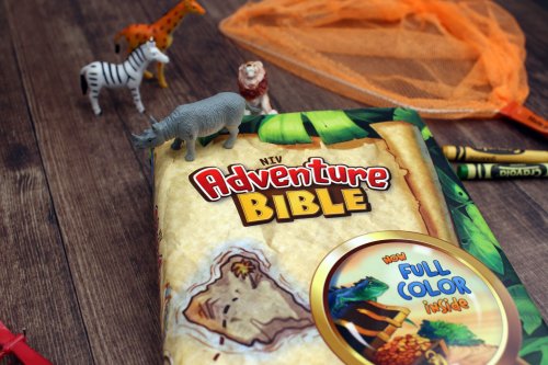 NIV, Adventure Bible, Full Color