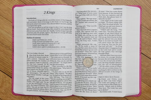 NIrV, Holy Bible, Large Print, Imitation Leather, Pink