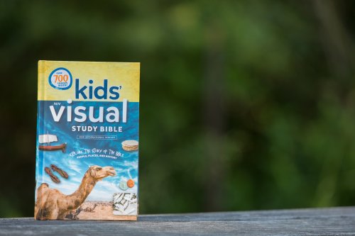 NIV Kids' Visual Study Bible, Hardcover, Full Color Interior: Explore the Story of the Bible---People, Places, and History