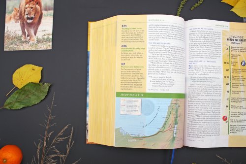 NIV Kids' Visual Study Bible, Hardcover, Full Color Interior: Explore the Story of the Bible---People, Places, and History