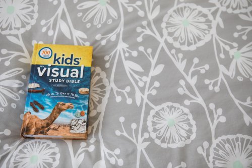 NIV Kids' Visual Study Bible, Hardcover, Full Color Interior: Explore the Story of the Bible---People, Places, and History