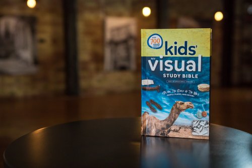 NIV Kids' Visual Study Bible, Hardcover, Full Color Interior: Explore the Story of the Bible---People, Places, and History