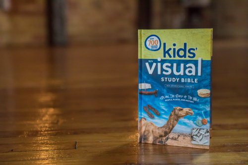 NIV Kids' Visual Study Bible, Hardcover, Full Color Interior: Explore the Story of the Bible---People, Places, and History