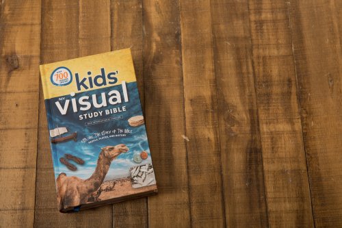 NIV Kids' Visual Study Bible, Hardcover, Full Color Interior: Explore the Story of the Bible---People, Places, and History