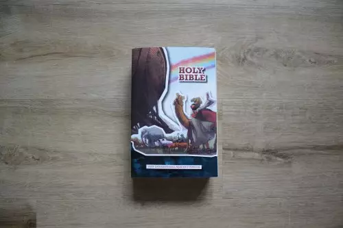 NIrV Children's Holy Bible