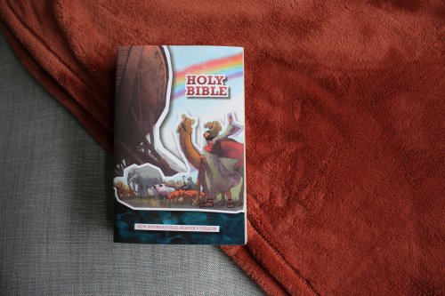 NIrV Children's Holy Bible