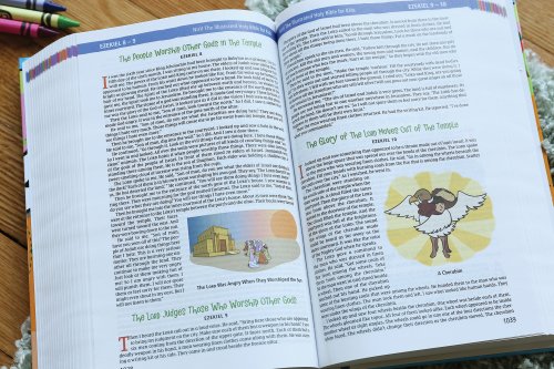 Nirv, The Illustrated Holy Bible for Kids