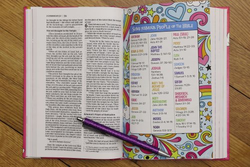 NIV God's Rainbow Holy Bible, Hardcover, Comfort Print