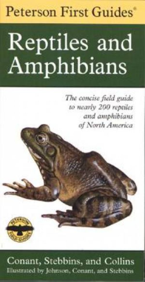 Reptiles And Amphibians