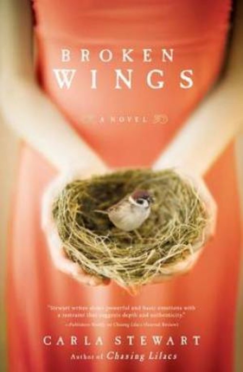 Broken Wings : A Novel