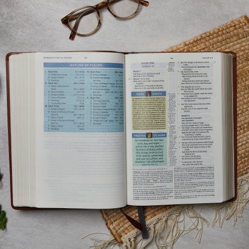 NKJV, Spirit-Filled Life Bible, Third Edition, Leathersoft, Brown, Red Letter, Comfort Print