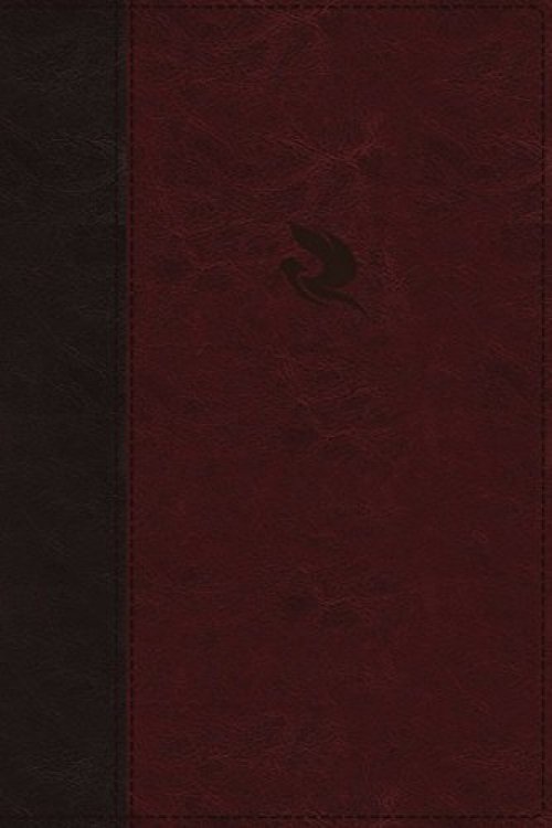 NKJV, Spirit-Filled Life Bible, Third Edition, Leathersoft, Burgundy, Red Letter, Comfort Print