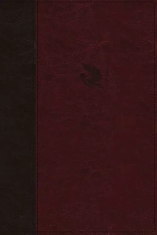 NKJV, Spirit-Filled Life Bible, Third Edition, Leathersoft, Burgundy, Red Letter, Comfort Print