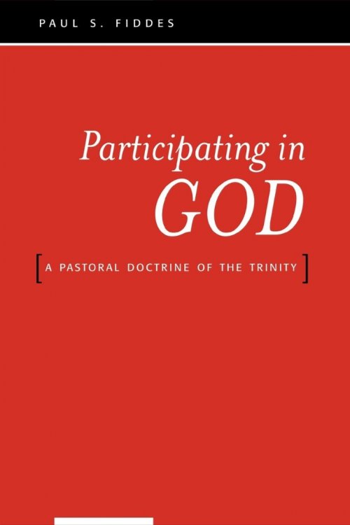 Participating in God: A Pastoral Doctrine of the Trinity