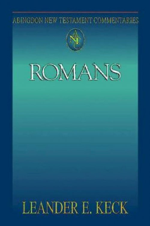 Romans : Abingdon New Testament Commentary