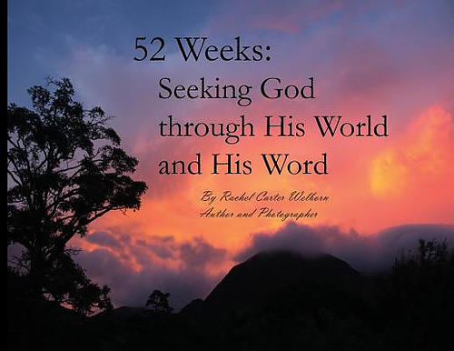 52 Weeks: Seeking God Through His World and His Word