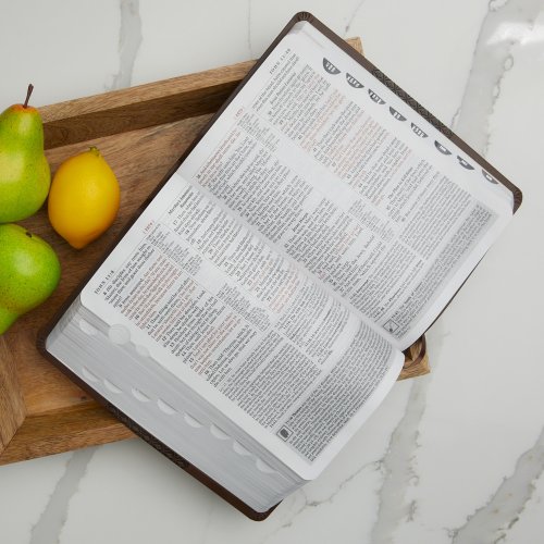 King James Study Bible