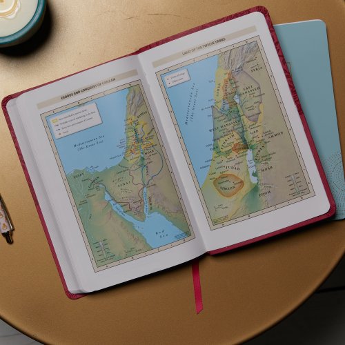 NKJV Value Thinline Bible, Pink, Imitation Leather, Red Letter, Maps, Reading Plan, Ribbon Marker