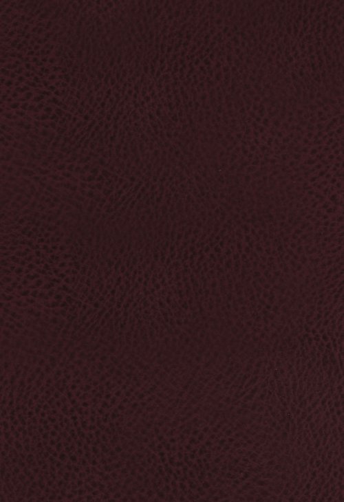 The King James Study Bible, Bonded Leather, Burgundy, Indexed, Full-Color Edition